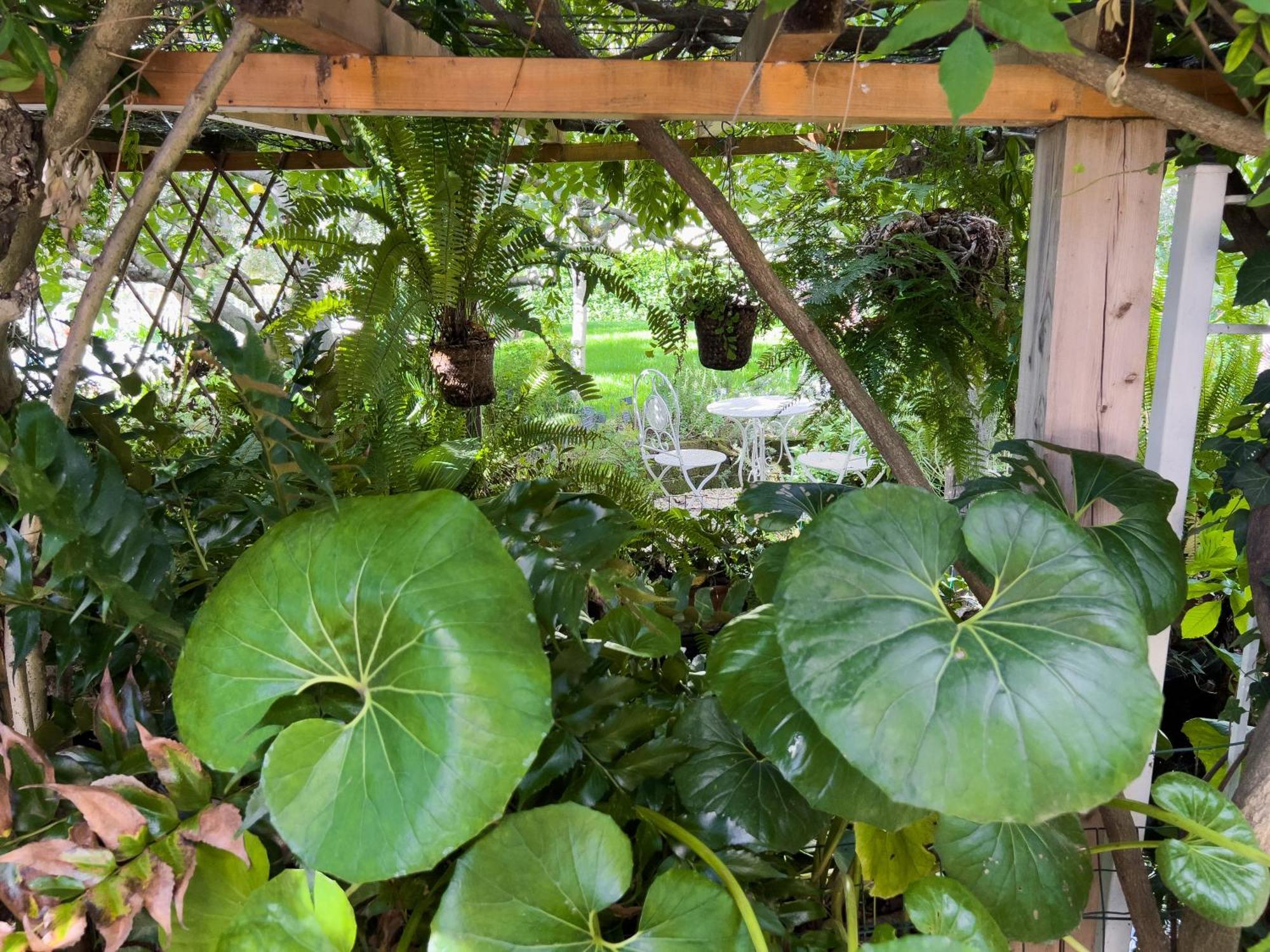 Villa La Rodina 迪亚诺马里纳 外观 照片